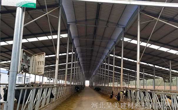 cm奶牛场1.jpg